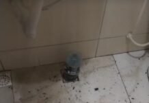 Deu no Programa Edenevaldo Alves: Morador reclama de esgoto estourado no Loteamento Recife em Petrolina
