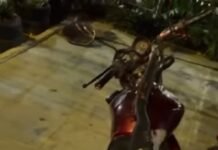 Petrolina (PE): 2º BIEsp recupera motocicleta e apreende arma de fogo no bairro Mandacaru