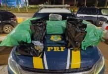 PRF apreende 35 Kg de ‘supermaconha’ e prende quatro suspeitos; droga saiu do Sertão de Pernambuco