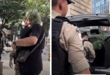 Candidato a deputado faz campanha com pé de maconha e PM pergunta “Tá doido?”
