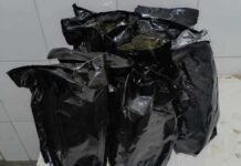 Juazeiro (BA): PM apreende 9 kg de maconha durante Operação Harpia