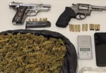 Operação Protetor de Divisas apreende armas de fogo e drogas em Casa Nova (BA)