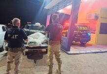 Sertânia (PE): PRF apreende 31 Kg de maconha escondidos em saco de ração