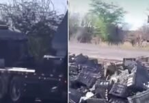 Carreta e caminhão carregado de manga se envolvem em acidente na BA-210