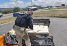 Pernambuco: PRF apreende 600 kg de queijo em carroceria de caminhão na BR 232
