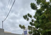 Petrolina (PE): Com atuação preventiva, Patrulha da Mulher realiza 735 atendimentos em setembro