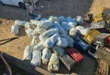 PRF e PMBA apreendem 323 Kg de maconha em caminhão com engradados