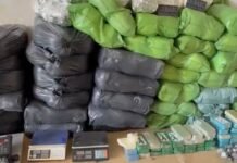 Polícia da Bahia chega à marca de 16 toneladas de drogas apreendidas