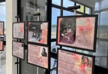 Biblioteca Municipal de Petrolina recebe exposições sobre gênero, maternidade e identidade nordestina