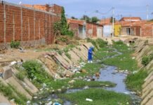 Operação Drenagem: Prefeitura de Petrolina segue com ações para prevenir transtornos durante o período de chuvas