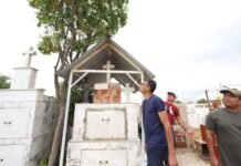 Prefeitura de Petrolina intensifica vistorias em cemitérios para identificar enxames de abelhas