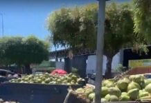 Petrolina (PE): Caçambas ‘bota fora’ não estão dando conta para descarte de resíduos na feira da Areia Branca