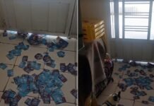 Santinhos de candidatos são jogados dentro da casa de moradora. “Falta de respeito”