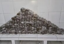 Dois homens são presos com 283 kg de maconha dentro de caminhão em Pernambuco