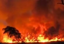 Incêndio atinge reserva ambiental entre Sento Sé e Campo Formoso, na Bahia