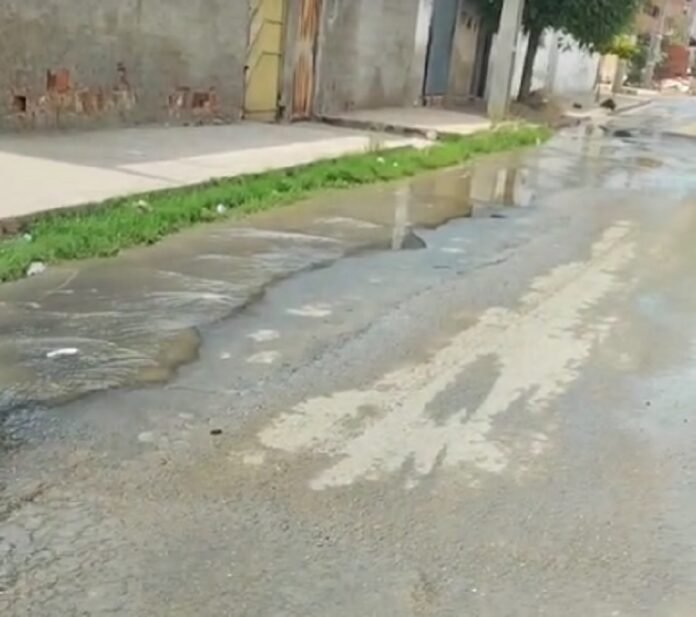 jardimsp