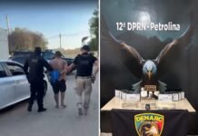 Operação integrada prende cinco pessoas e apreende 17 kg de drogas em Petrolina (PE)