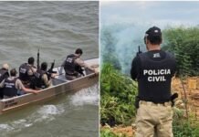 Operação policial destrói 2 mil pés de maconha em ilha no Rio São Francisco