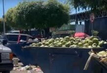 Feira da Areia Branca: quem está pagando a conta dos resíduos?