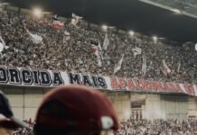 Santa Cruz volta à segunda divisão após 10 anos