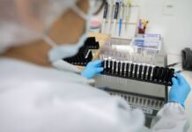 Malária: Anvisa autoriza teste em humanos de vacina 100% brasileira