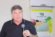Diretor Institucional da Valexport, Caio Coelho estima crescimento de 20% nas exportações de manga do Vale do São Francisco para os Estados Unidos